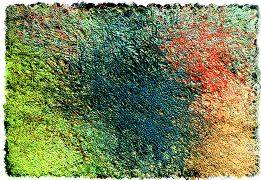 안해익&유미현 Rug (Small Carpet)1 _160 x 230 x 1cm