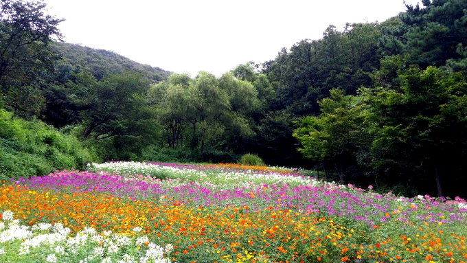 법원읍 사계정원