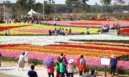 네이처월드 튤립축제