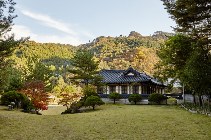 평창 정강원 전경