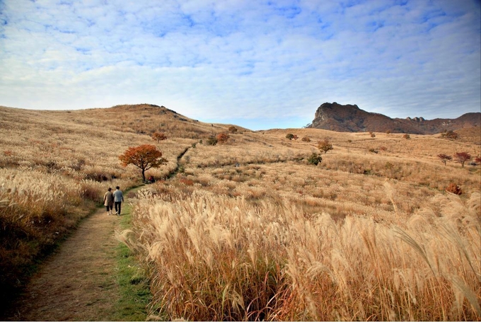 합천 황매산 군립공원