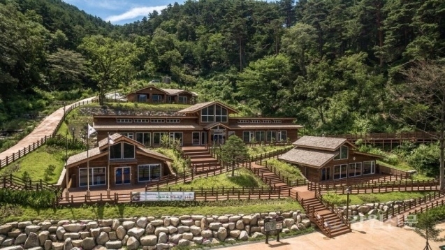 대관령 치유의 숲 전경
