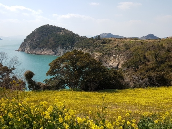 여수 하화도
